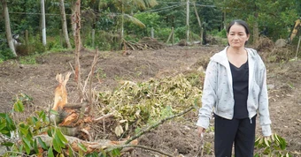 Người phụ nữ đốn hơn 100 cây sầu riêng, giúp bộ đội tìm 71 hài cốt liệt sĩ