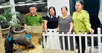 Người phụ nữ mất ăn mất ngủ vì nhặt được 2 con chim lạ