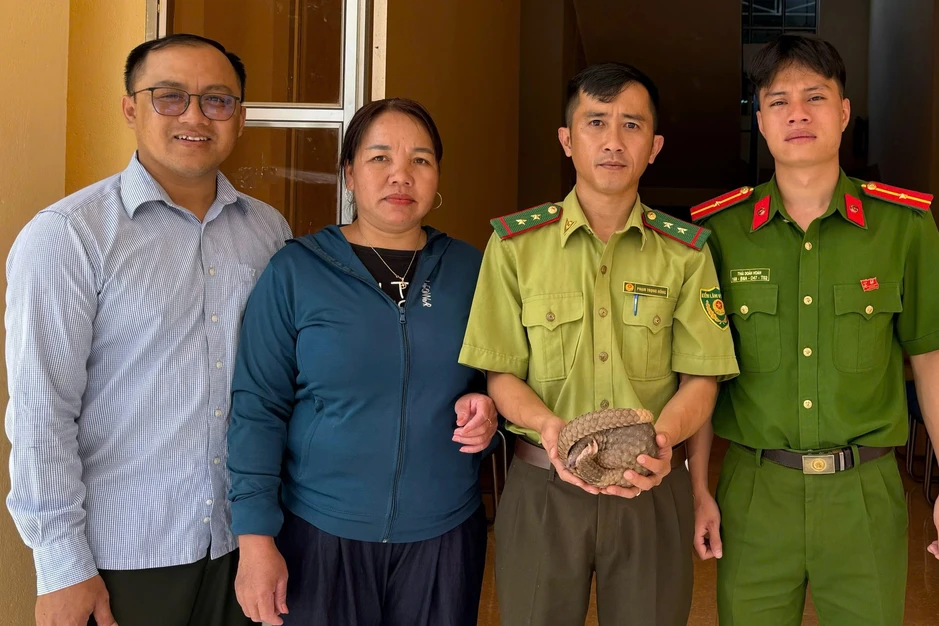 Người phụ nữ phát hiện động vật quý hiếm đi lạc vào khu dân cư Người phụ nữ phát hiện động vật quý hiếm đi lạc vào khu dân cư