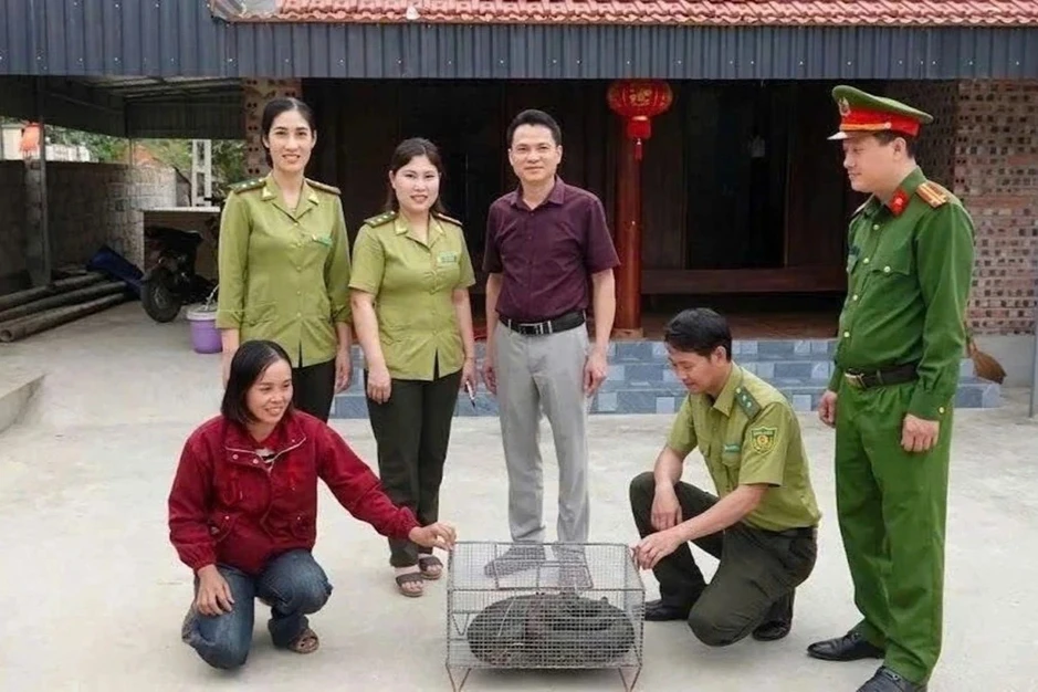Người phụ nữ phát hiện trăn đất 11kg trong vườn nhà Người phụ nữ phát hiện trăn đất 11kg trong vườn nhà