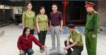 Người phụ nữ phát hiện trăn đất 11kg trong vườn nhà
