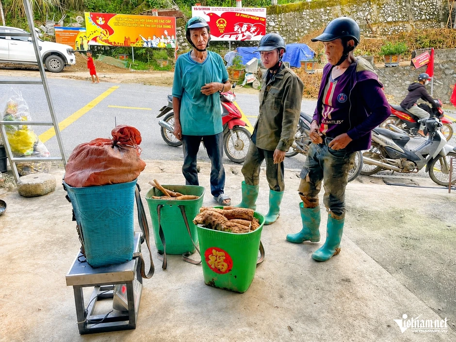 Người phụ nữ Thanh Hóa biến củ 'chống đói' thành đặc sản vùng cao Người phụ nữ Thanh Hóa biến củ 'chống đói' thành đặc sản vùng cao