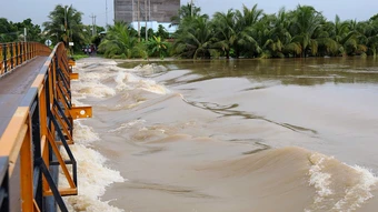 Nhiều vùng hạ du Bình Thuận ngập, người dân sơ tán