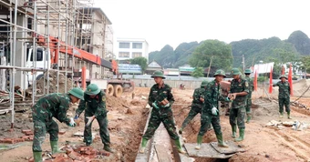Những 'đội quân đặc biệt' dựng trường giữa núi rừng Nghệ An