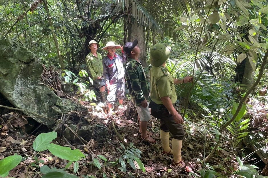 Những người ăn ngủ cùng rừng giữa cao điểm nắng nóng Những người ăn ngủ cùng rừng giữa cao điểm nắng nóng