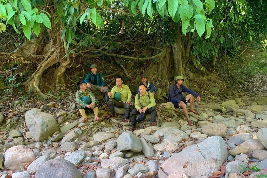 Những người ăn ngủ cùng rừng giữa cao điểm nắng nóng Những người ăn ngủ cùng rừng giữa cao điểm nắng nóng