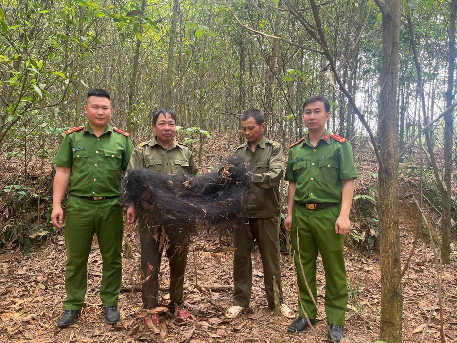 Những quy định người nuôi chim cảnh cần chú ý Những quy định người nuôi chim cảnh cần chú ý