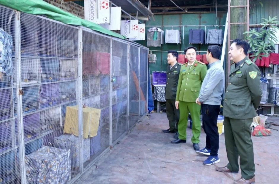Những quy định người nuôi chim cảnh cần chú ý Những quy định người nuôi chim cảnh cần chú ý