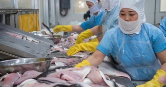 Nỗ lực đưa xuất khẩu vượt qua thách thức