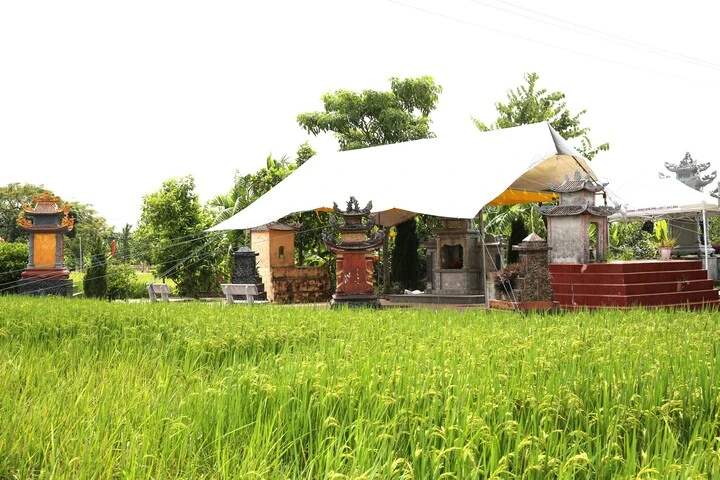 Nơi nằm xuống của 8 liệt sỹ Hải Phòng thời chống Pháp, sắp khai quật hố chôn Nơi nằm xuống của 8 liệt sỹ Hải Phòng thời chống Pháp, sắp khai quật hố chôn