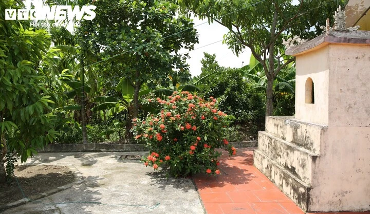 Nơi nằm xuống của 8 liệt sỹ Hải Phòng thời chống Pháp, sắp khai quật hố chôn Nơi nằm xuống của 8 liệt sỹ Hải Phòng thời chống Pháp, sắp khai quật hố chôn