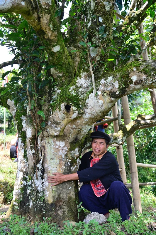 Nỗi niềm trà di sản: Ngậm ngùi số phận 'cụ trà' 001 Nỗi niềm trà di sản: Ngậm ngùi số phận 'cụ trà' 001