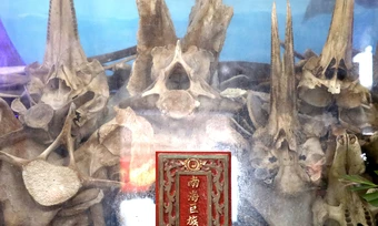 Nơi thờ xương cá voi suốt 200 năm ở Quy Nhơn