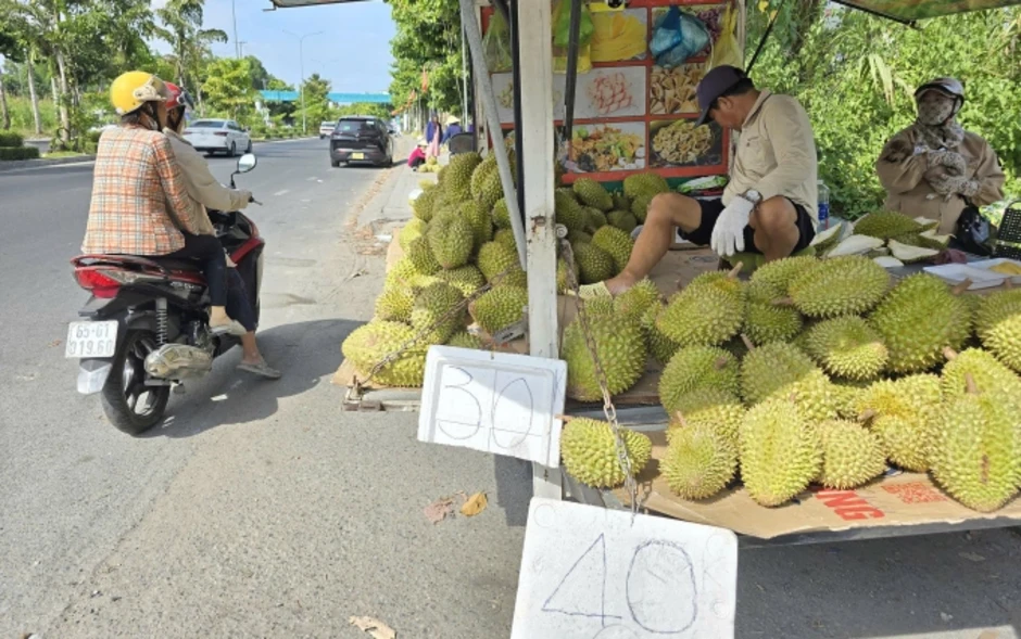 Nông dân miền Tây điêu đứng vì giá sầu riêng lao dốc Nông dân miền Tây điêu đứng vì giá sầu riêng lao dốc