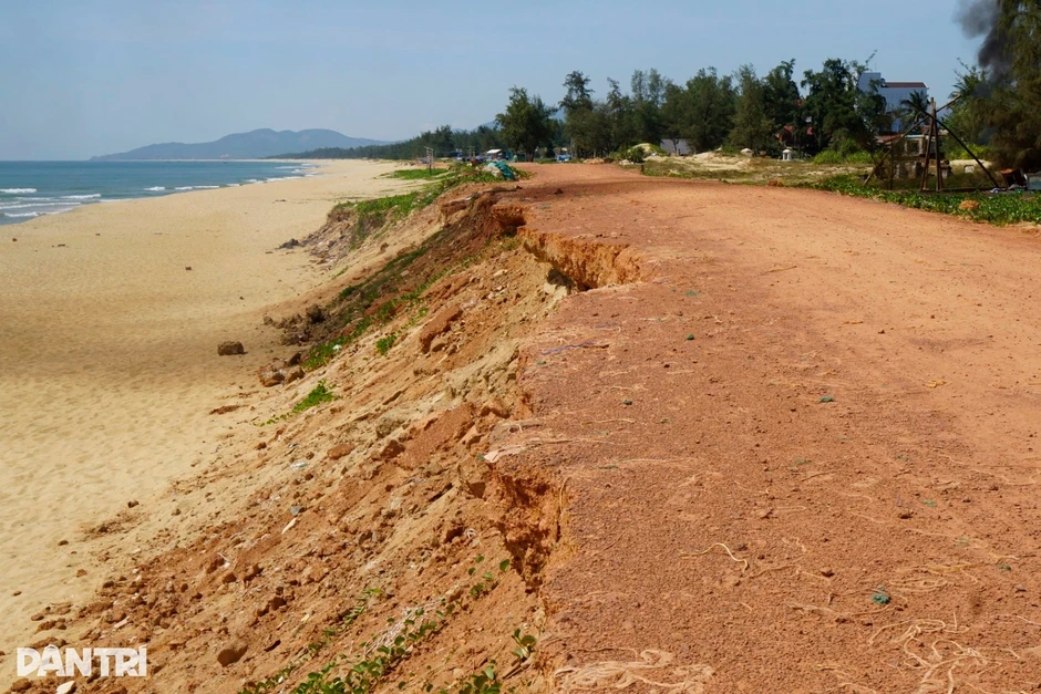Nước biển chuyển màu nâu đỏ ở Gia Lai: Không phải do tảo nở hoa Nước biển chuyển màu nâu đỏ ở Gia Lai: Không phải do tảo nở hoa