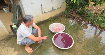 Nước giếng khoan đổi màu tím, bốc mùi hôi thối