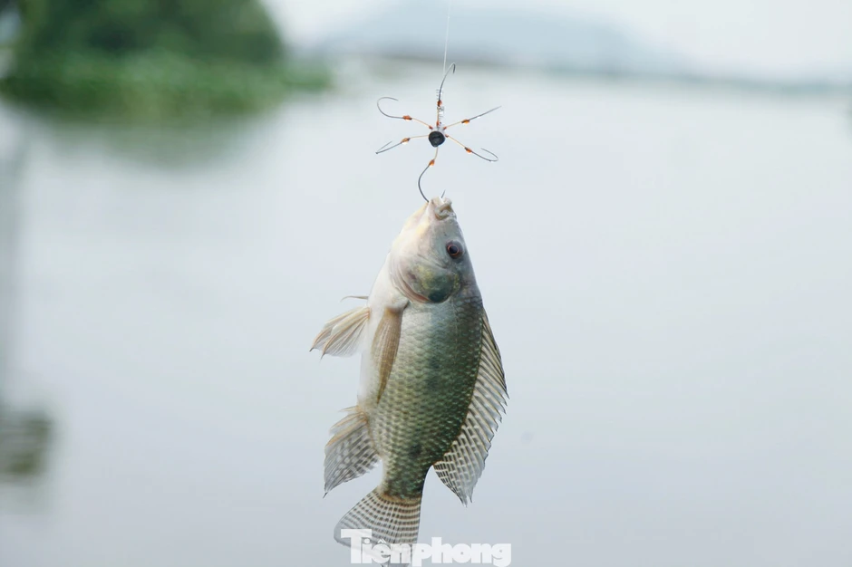 Nước lũ dâng, 'cần thủ' đua nhau săn cá