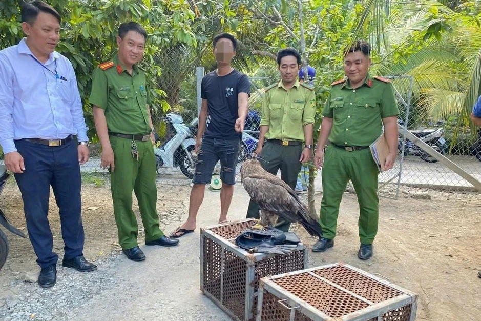 Nuôi 6 con đại bàng, diều hâu, nam thanh niên bị phạt 7,5 triệu đồng Nuôi 6 con đại bàng, diều hâu, nam thanh niên bị phạt 7,5 triệu đồng