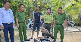Nuôi 6 con đại bàng, diều hâu, nam thanh niên bị phạt 7,5 triệu đồng