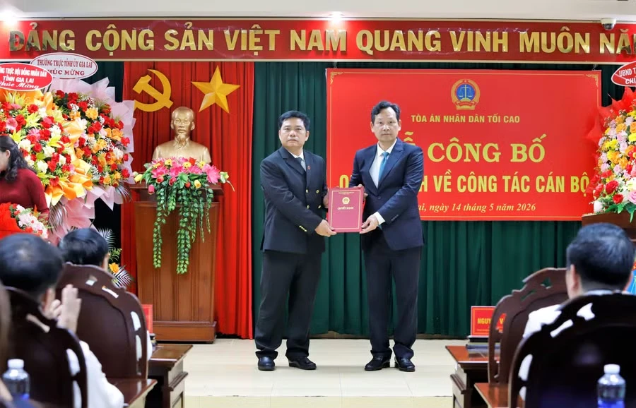 Ông Bùi Danh Đại được bổ nhiệm Chánh án TAND tỉnh Gia Lai năm 2026 Ông Bùi Danh Đại được bổ nhiệm Chánh án TAND tỉnh Gia Lai năm 2026