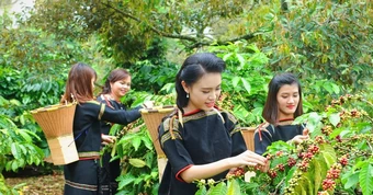 Ông Ksor Phước: Từ những 'làng 6 không', bà con nay đã biết làm kinh tế hàng hóa