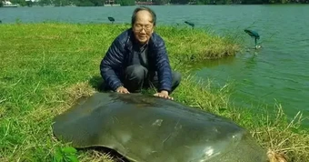 PGS . TS Hà Đình Đức , nhà rùa học nổi tiếng , đã qua đời ở tuổi 87