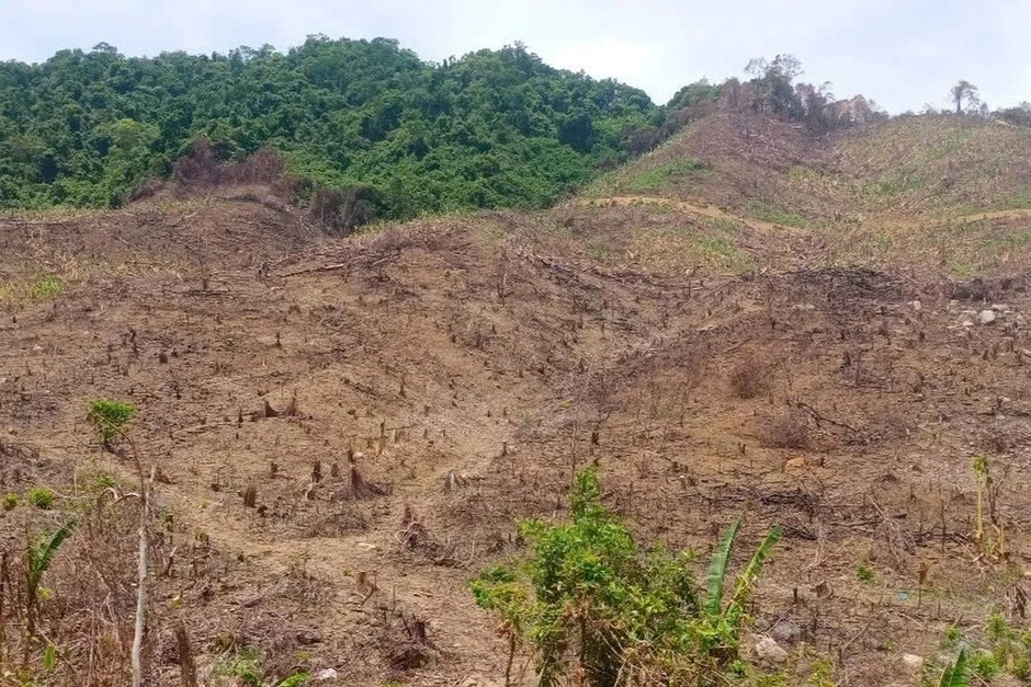 Phá gần 0,5ha rừng tự nhiên, một người dân bị phạt 400 triệu đồng Phá gần 0,5ha rừng tự nhiên, một người dân bị phạt 400 triệu đồng