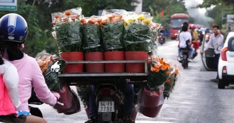 Phải có 'giấy thông hành' mới được chở hoa kiểng tết đi bán là bịa đặt