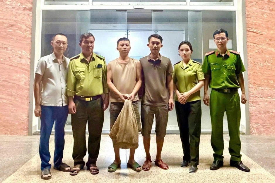 Phát hiện 2 con tê tê quý hiếm trên đường về nhà Phát hiện 2 con tê tê quý hiếm trên đường về nhà