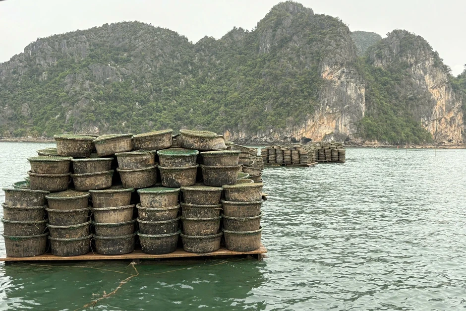 Phát hiện 2 trường hợp nuôi thủy sản trái phép ở vịnh Hạ Long Phát hiện 2 trường hợp nuôi thủy sản trái phép ở vịnh Hạ Long