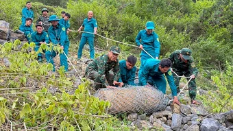 Phát hiện bom 350 kg khi đào móng nhà