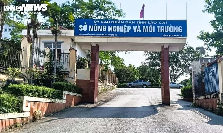 Phát hiện cán bộ Sở Nông nghiệp và Môi trường Lào Cai tử vong tại trụ sở Phát hiện cán bộ Sở Nông nghiệp và Môi trường Lào Cai tử vong tại trụ sở
