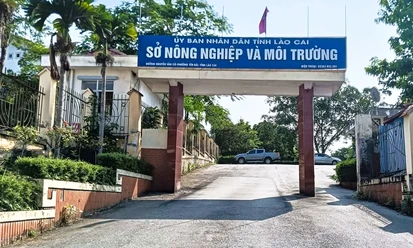 Phát hiện cán bộ Sở Nông nghiệp và Môi trường Lào Cai tử vong tại trụ sở