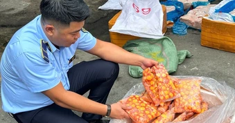 Phát hiện gần 17 tấn thực phẩm đông lạnh không rõ nguồn gốc ở Đồng Nai