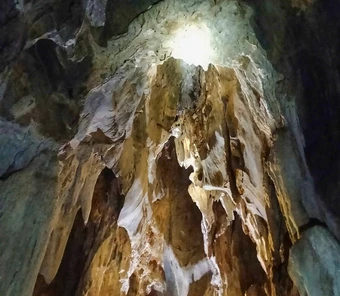 Phát hiện hang động nhiều tầng trong rừng nguyên sinh ở Nghệ An