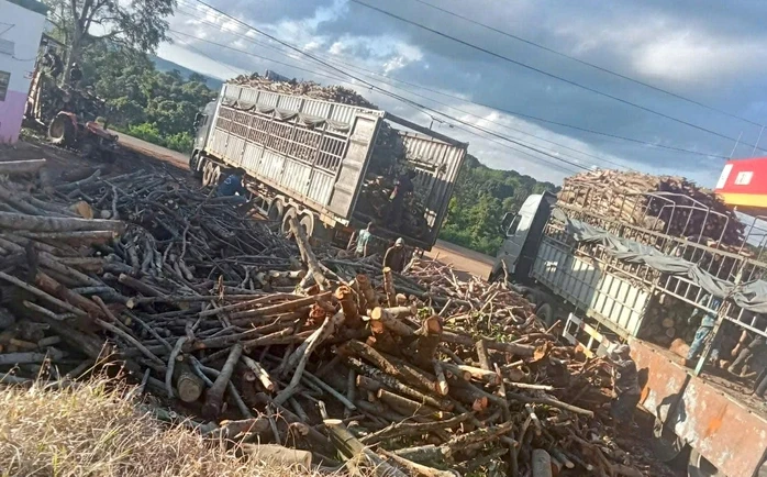 Phát hiện nhiều điểm tập kết gỗ không rõ nguồn gốc ở Gia Lai Phát hiện nhiều điểm tập kết gỗ không rõ nguồn gốc ở Gia Lai