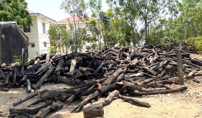 Phát hiện nhiều điểm tập kết gỗ không rõ nguồn gốc ở Gia Lai Phát hiện nhiều điểm tập kết gỗ không rõ nguồn gốc ở Gia Lai
