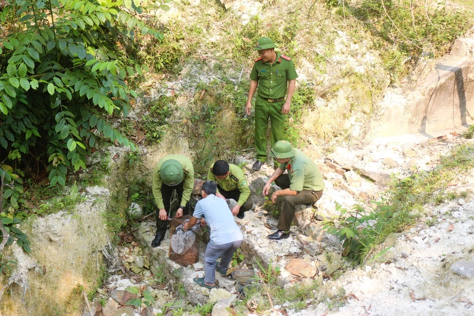Phát hiện rắn hổ mang chúa dài 2,6m bò vào nhà Phát hiện rắn hổ mang chúa dài 2,6m bò vào nhà