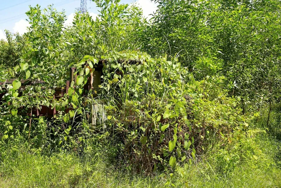 Phát hiện thi thể người đàn ông ở Huế sau 10 ngày mất liên lạc Phát hiện thi thể người đàn ông ở Huế sau 10 ngày mất liên lạc