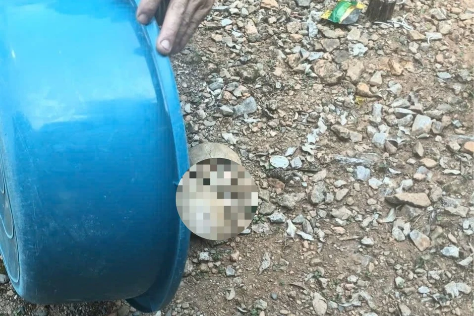 Phát hiện vật thể nghi là sọ người ở Tuyên Quang Phát hiện vật thể nghi là sọ người ở Tuyên Quang