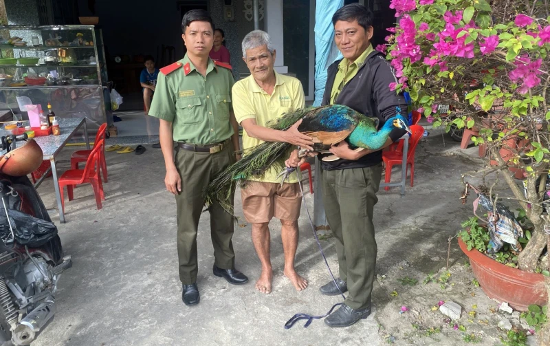 Phát huy vai trò lực lượng Công an trong bảo vệ động vật hoang dã ở An Giang Phát huy vai trò lực lượng Công an trong bảo vệ động vật hoang dã ở An Giang