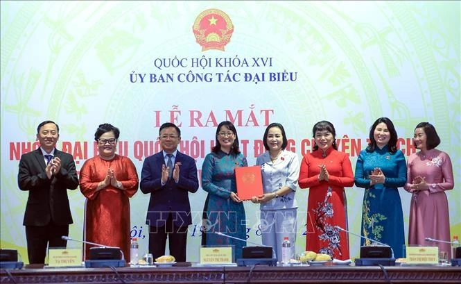 Phát huy vai trò nòng cốt của đại biểu Quốc hội chuyên trách ở địa phương
