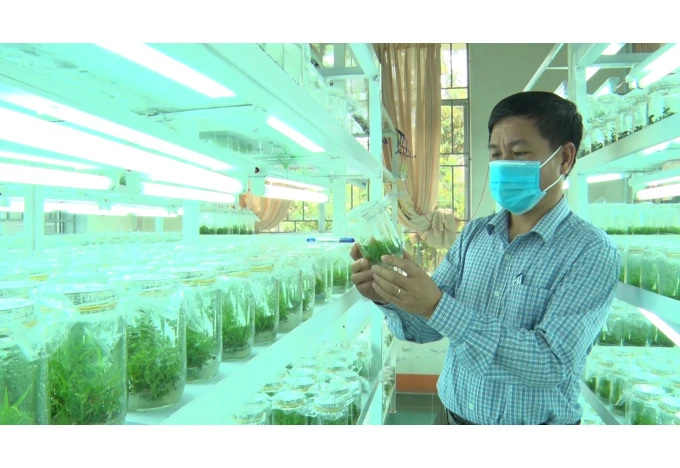 Phát triển công nghiệp sinh học, thay thế tối thiểu 50% sản phẩm nhập khẩu Phát triển công nghiệp sinh học, thay thế tối thiểu 50% sản phẩm nhập khẩu