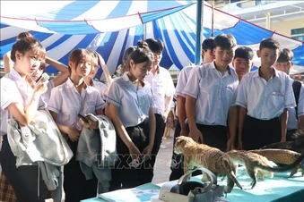 Phê duyệt Chương trình Sức khỏe học đường giai đoạn 2026-2035