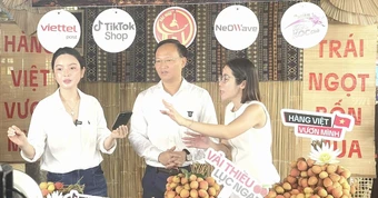 Phó Chủ tịch tỉnh Bắc Ninh livestream bán vải, chốt hơn 31 tấn đơn hàng