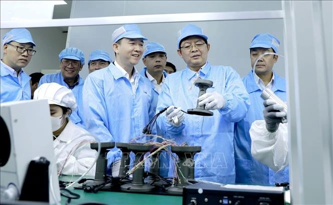 Phó Thủ tướng Hồ Quốc Dũng: Phát triển sản phẩm công nghệ chiến lược thúc đẩy chuyển đổi số quốc gia Phó Thủ tướng Hồ Quốc Dũng: Phát triển sản phẩm công nghệ chiến lược thúc đẩy chuyển đổi số quốc gia