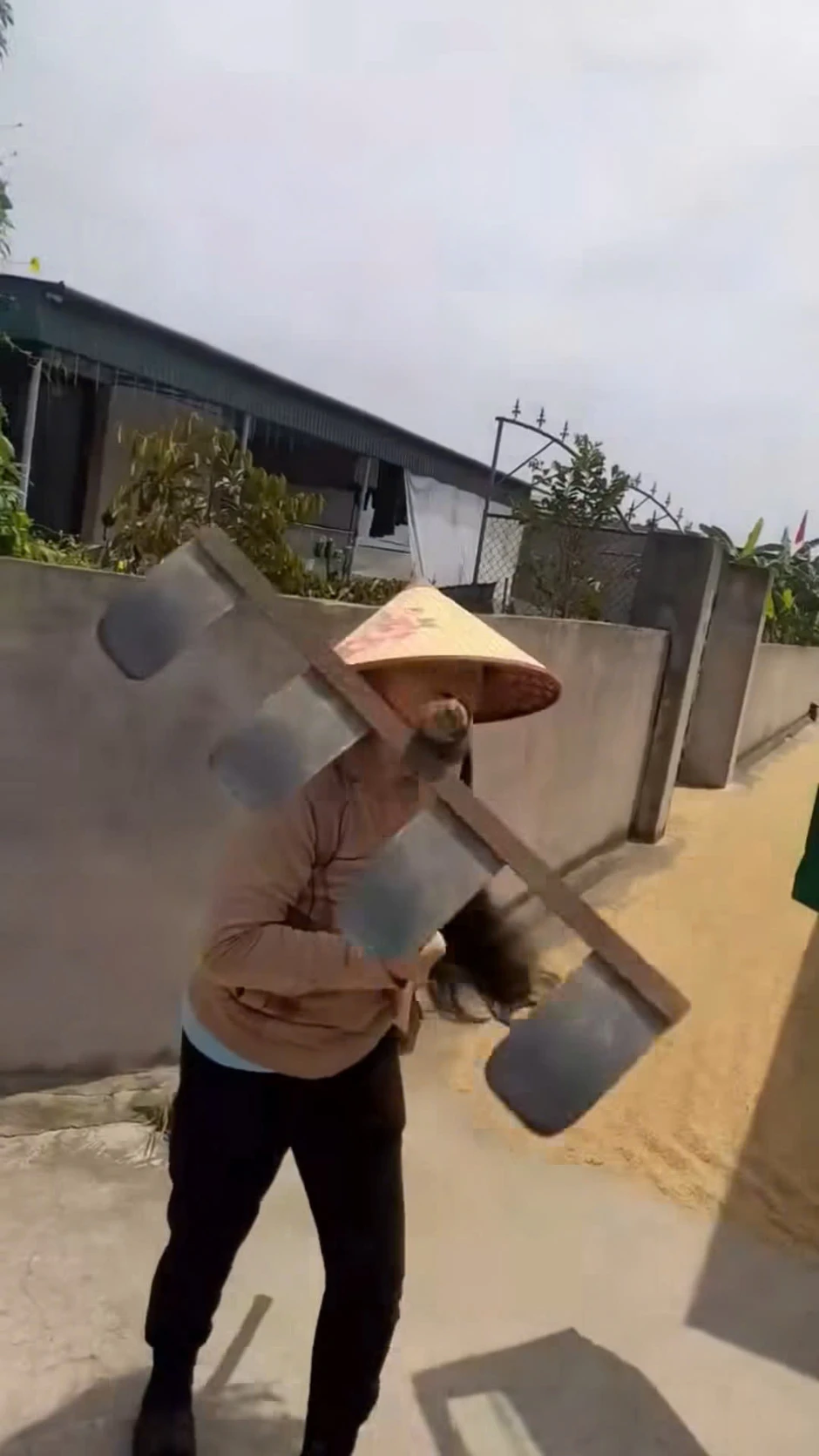 Phơi lúa lấn chiếm lòng đường, người phụ nữ dùng cào tấn công tài xế Phơi lúa lấn chiếm lòng đường, người phụ nữ dùng cào tấn công tài xế