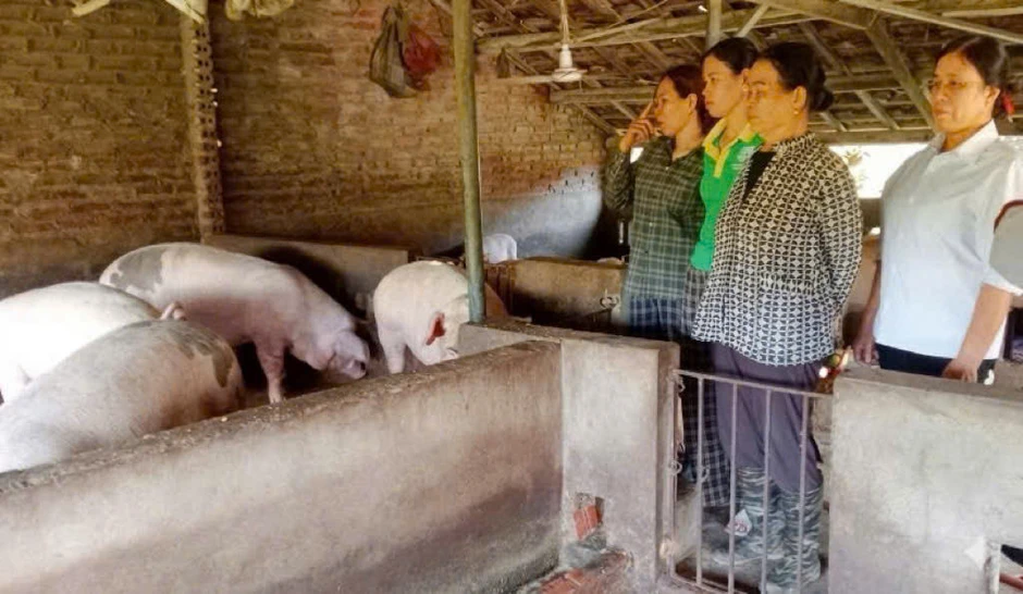 Phụ nữ vùng cao Quảng Ninh tự tin khởi nghiệp, phát triển kinh tế bền vững Phụ nữ vùng cao Quảng Ninh tự tin khởi nghiệp, phát triển kinh tế bền vững