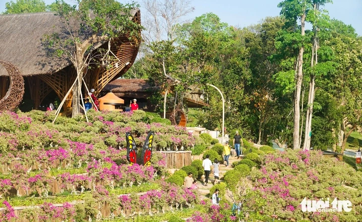 Phú Quốc đưa ra ‘tối hậu thư’ sẽ cưỡng chế vườn hoa The Peak trên núi Điện Tiên Phú Quốc đưa ra ‘tối hậu thư’ sẽ cưỡng chế vườn hoa The Peak trên núi Điện Tiên