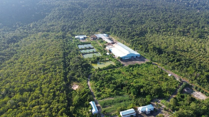 Phú Quốc thu hồi hơn 10ha đất nhà máy xử lý rác Bãi Bổn Phú Quốc thu hồi hơn 10ha đất nhà máy xử lý rác Bãi Bổn